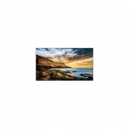 Samsung LH65QETELGC