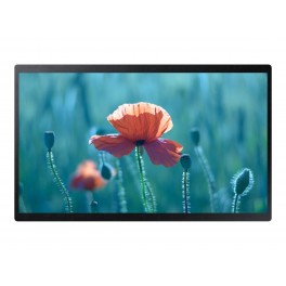 Samsung LH24QBRBBGCXEN 